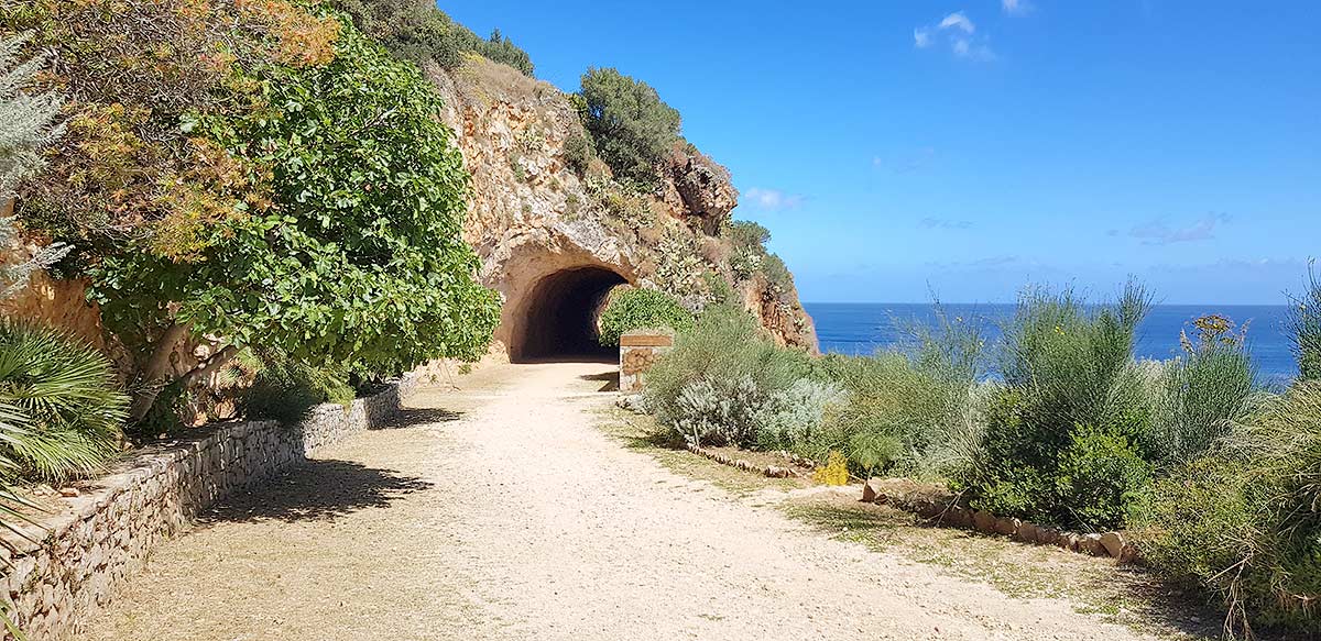 De tunnel aan het begin van het natuurreservaat